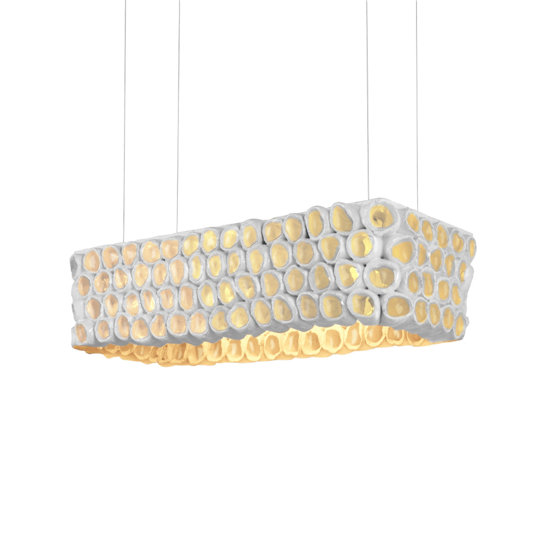 Reef Rectangle Suspension Light