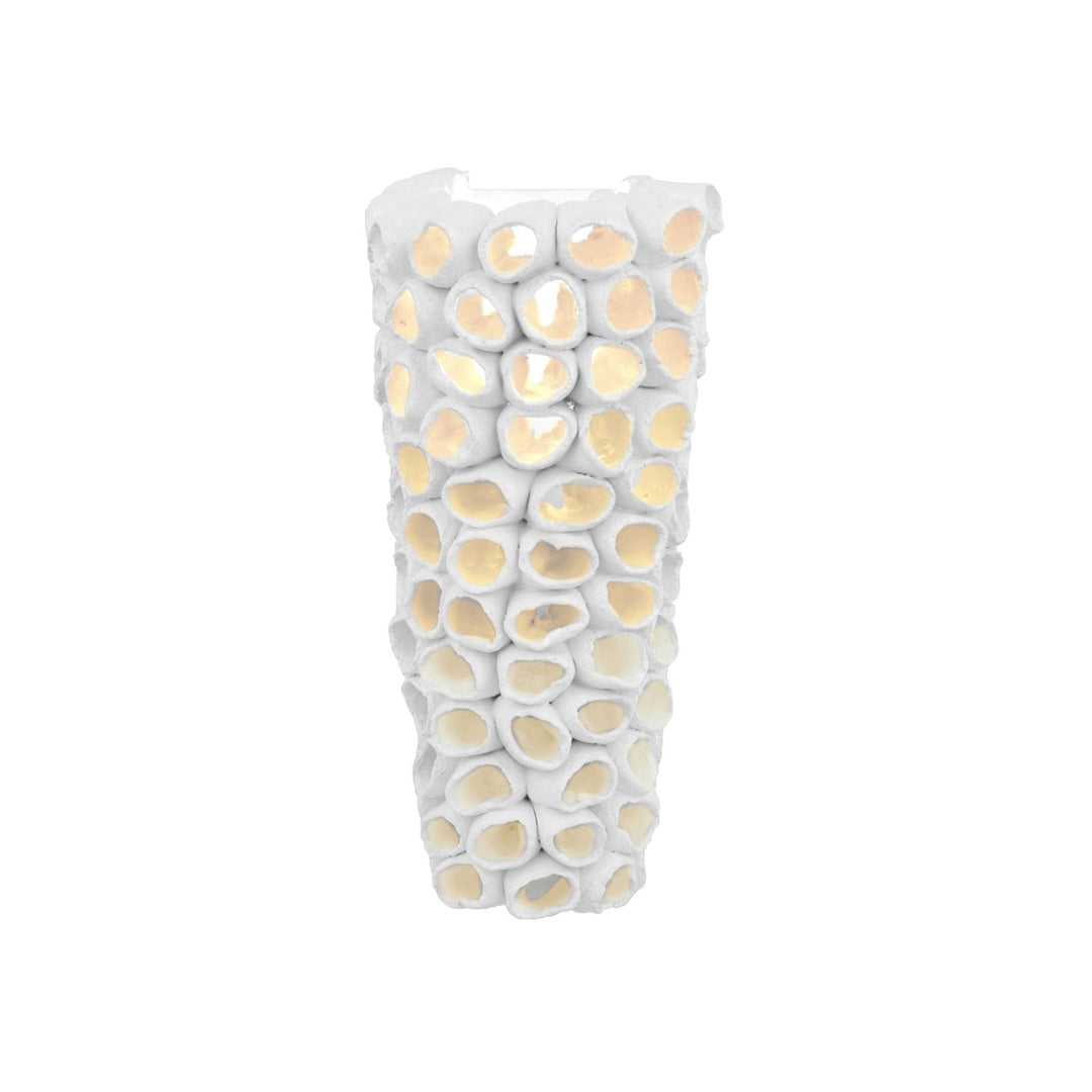 Reef Wall Sconce